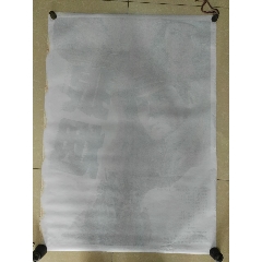 切尔姆斯福德办理假驾驶证